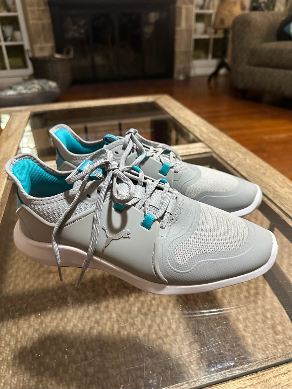 Puma Gray Sneakers with Teal Interior
